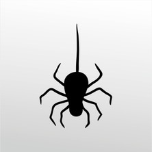 Technopa Folyo Sticker Örümcek