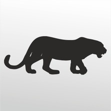 Technopa Folyo Sticker Çita