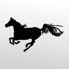 Technopa Folyo Sticker At 129