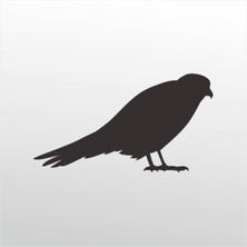 Technopa Folyo Sticker Arı Kuşu 101