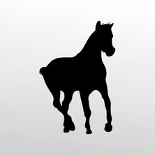 Technopa Folyo Sticker At 161