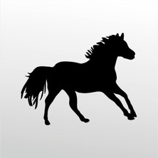 Technopa Folyo Sticker At 164