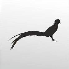 Technopa Folyo Sticker Anka Kuşu