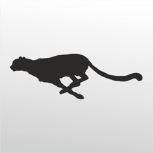 Technopa Folyo Sticker Çita 101