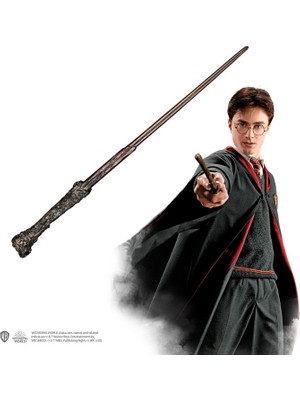 Harry Potter Ollivander Asaları - Harry Potter