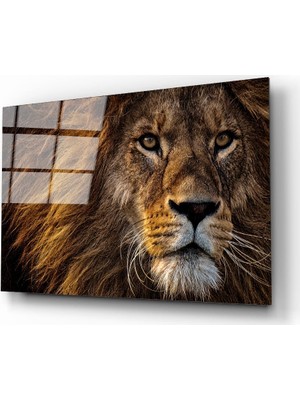 idealizbiz Aslan 11 Cam Tablo