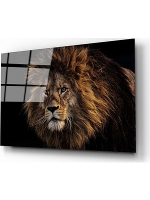 idealizbiz Aslan 9 Cam Tablo