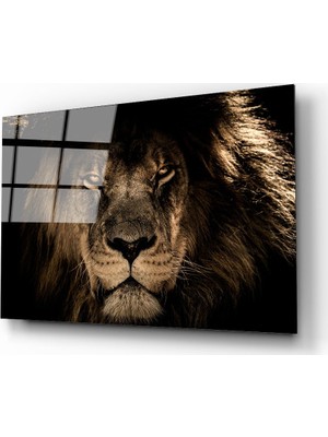 idealizbiz Aslan 14 Cam Tablo