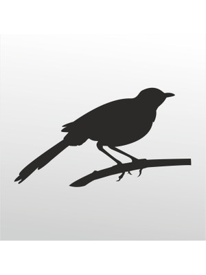Technopa Folyo Sticker Arı Kuşu