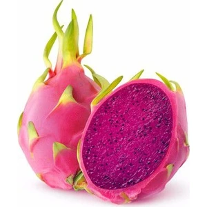 Serdar Çam Tohumculuk Ithal Nadir Tropikal Kırmızı Pitaya Tohumu Ejder Meyvesi Tohumu