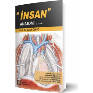 Insan Anatomi - Davut Özbağ