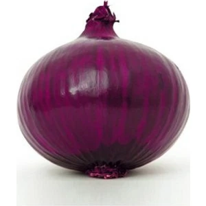 Ata Tohumculuk 100  Tohum Yerli Mor Soğan Tohumu Ata Tohum Kırmızı Soğan Tohumu Sürpriz Hediye Tohumludur