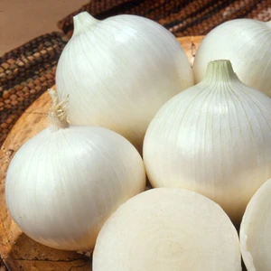 Murat Tohumculuk Murat Tohum Eko Paket Tatlı Beyaz Soğan Tohumu 650  Tohum