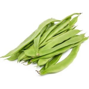 Murat Tohumculuk Murat Tohum Eko Paket Bodur Erkenci Sarıkız Fasulye Tohumu 100  Tohum