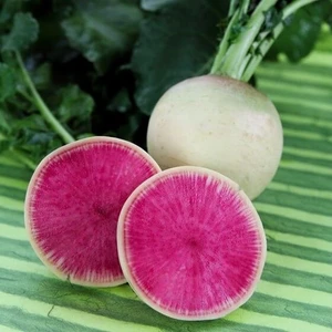 Ata Tohumculuk 50  Tohum Süper Paket Şalgam Turpu Tohumu Turp Tohum