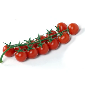 Ata Tohumculuk 100  Tohum Eko Paket Nadir Ithal Pinpon Domates Tohumu Yeni Sezon