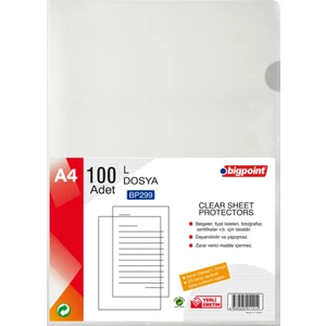 Bigpoint L Dosya Standart 100'Lü - Bp293