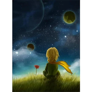 Womb Hobby Küçük Prens Sayılarla Boyama SetiTuvale Gerili 40 x 50 cm