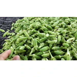 Sultani Bamya Tohumu 30 Adet Tohum