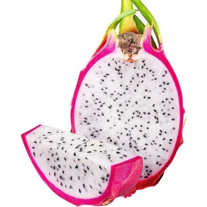 15 Adet Pitaya Tohumu Beyaz Pitaya Ağacı Tohum Ejder Meyvesi Tohumu + Saksı + Toprak