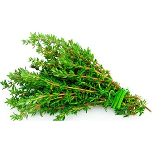 Kekik Tohumu Aromatik Dağ Kekiği Tohumu 25 Adet Tohum