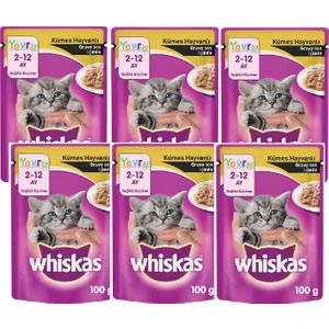 Whıskas Pouch 100GR Yavru Kumes Hayvanlı X6