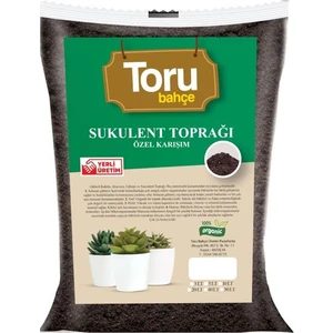 Skulent Toprağı 10lt
