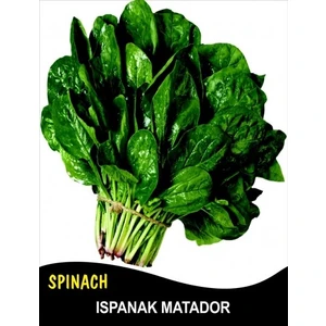 İbk İklim Bahçe Ispanak Tohumu - 25G  (~  1300 Tohum)