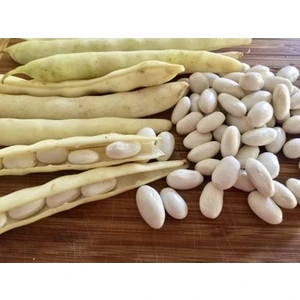 İbk İklim Bahçe Barbunya Tohumu Karlı Beyaz Oturak 50 G.