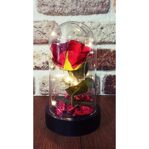 Deco Elit LED Işıklı Şeffaf Mika Fanusta Işıklı  Gül Kırmızı