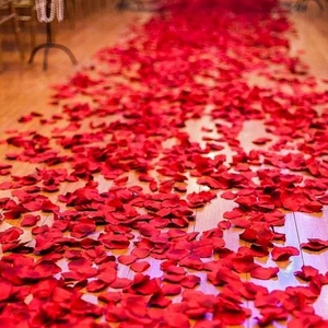 Deco Elit 1000 Adet Gül Yaprağı, Romantik Süsleme Gül Yaprakları