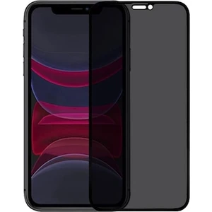 Techatech Apple iPhone 11 Pro Tam Koruma Hayalet Ekran 9h Hd Siyah