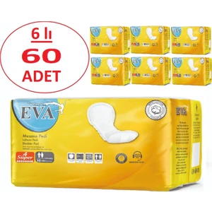 Süper Büyük NO:4  Mesane Pedi 60 Adet