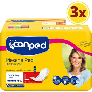 Mesane Pedi Büyük 10'lu x 3