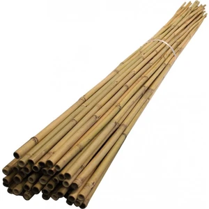 Uzay Bahçesi Doğal Bambu Çubuk/ Bitki Destek Çubuğu 120 cm 10 Adet