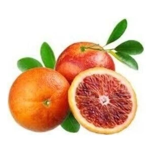 Uzay Bahçesi Kırmızı Portakal/kan Portakal Fidanı  80-100 cm