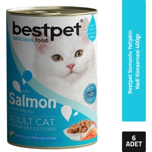 Somonlu Yetişkin Kedi Konservesi 400GR 6'lı