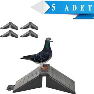 Tünek Güvercin Bekar Tüneği 5 Adet Plastik Kuş Pigeon