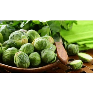 Brüksel Lahanası Sebzesi Tohumu 20 'li  Saksı  Torf