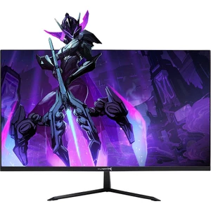 RaiseTech R MT-L238Fhd 5ms 75Hz Vga Hdmi 1920x1080 23.8'' Monitör