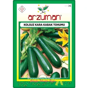 Kabak Tohumu Siyah Kabak 10 gr Kolsuz