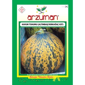 Kavun Tohumu Altınbaş / Kırkağaç 637
