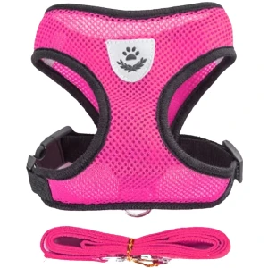 Evcil Kopek Yelegi ve Tasması