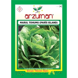 Marul Tohumu-Paris Island (10 Gr)