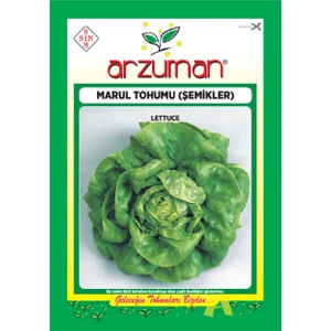 Marul Tohumu - Şemikler - (10 Gr)