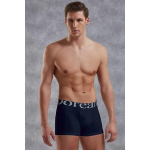Erkek Boxer 1777P