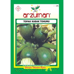 Topak Kabak Tohumu (10 Gr) Siyah Renk