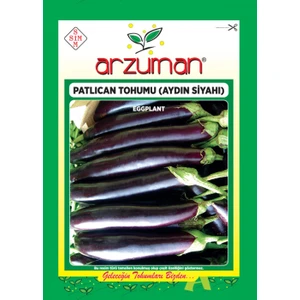 Patlıcan Tohumu (10 Gr) Aydın Siyahı