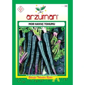 Mor Havuç Tohumu (5 Gr)