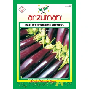 Patlıcan Tohumu (10 Gr) Kemer-27